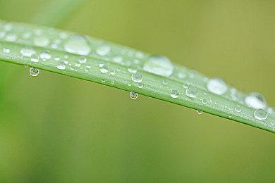 《赛博朋克2077》获Steam爱的付出奖 CDPR官方致谢